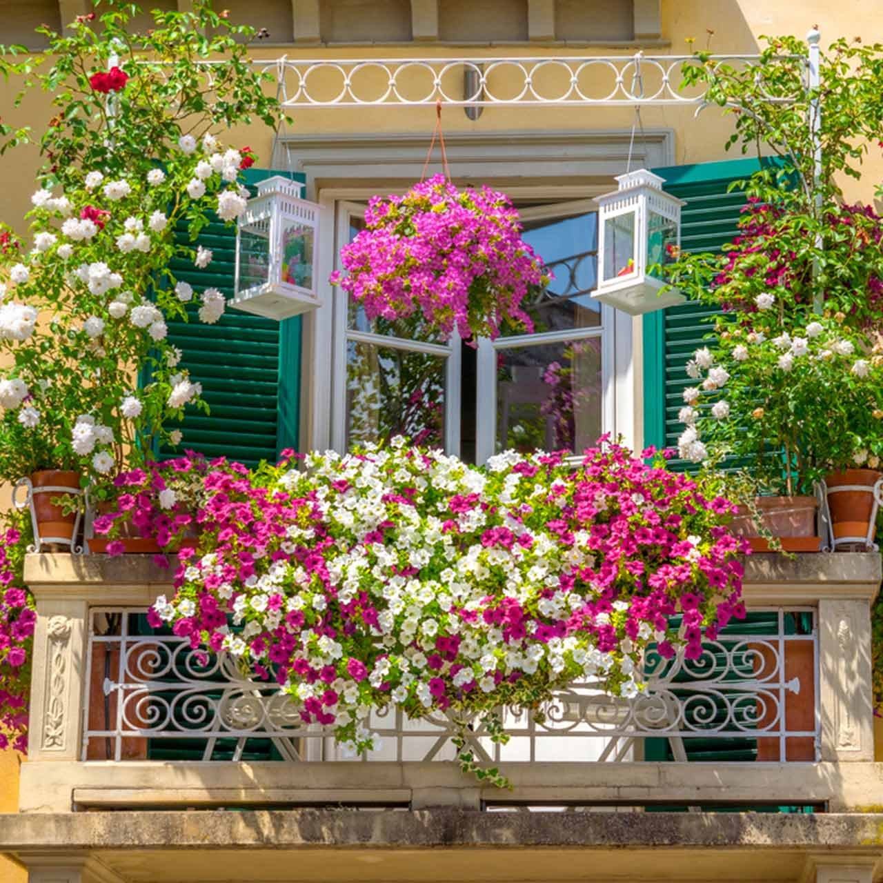Indian balcony garden decoration ideas for your home